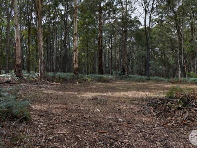 Land for sale in Blampied, Shire of Hepburn