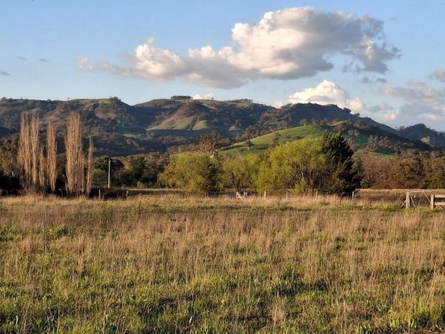 Land for sale in Blandford, Upper Hunter Shire Council