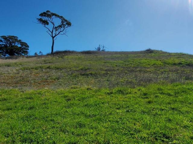 Land for sale in New South Wales