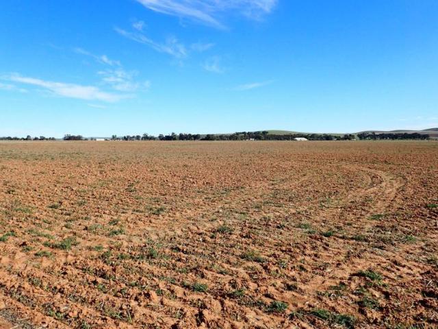 Land for sale in Goyder, South Australia