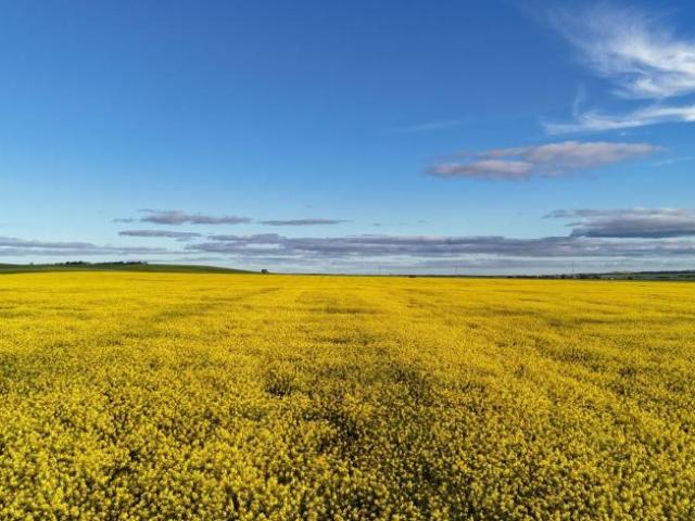 Land for sale in Booleroo Centre, The District Council of Mount Remarkable