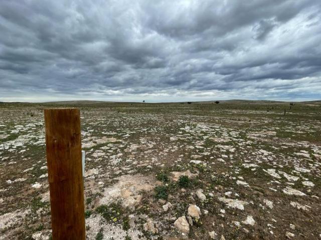 Land for sale in Bramfield, District Council of Elliston