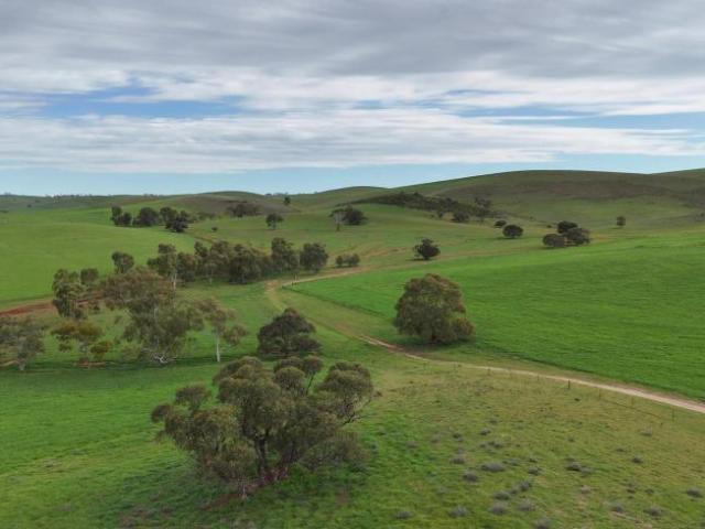 Land for sale in Broughton River Valley, South Australia