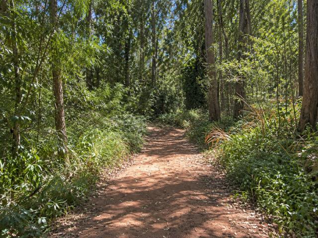 Land for sale in Toombul, Queensland
