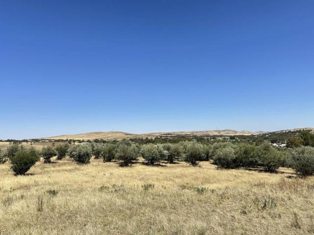 Land for sale in Goyder, South Australia