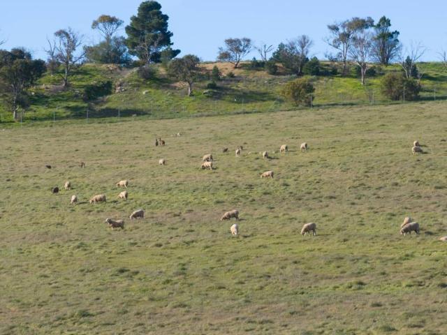 Land for sale in Goyder, South Australia