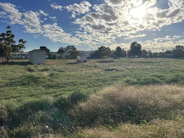 Land for sale in Carrieton, South Australia
