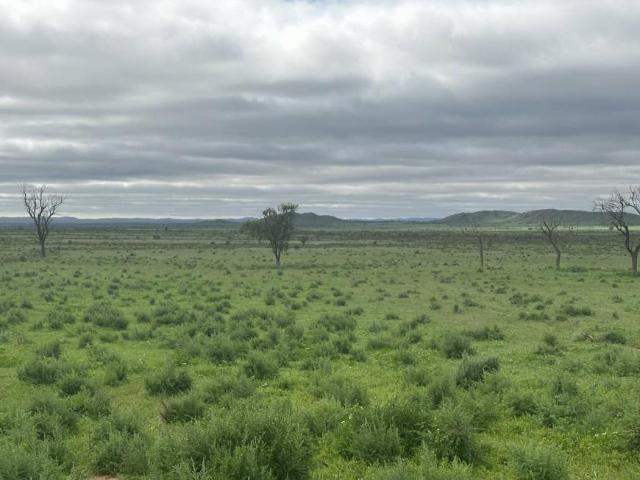 Land for sale in Cavenagh, South Australia