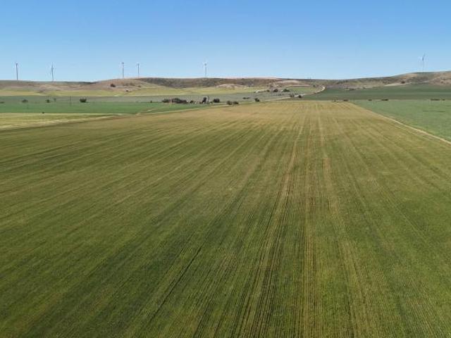 Land for sale in Clements Gap, Barunga West Council