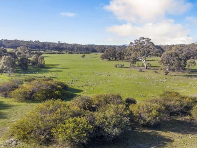 Land for sale in Clunes
