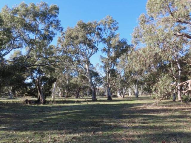 Land for rent in Coles, South Australia