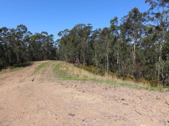 Land for sale in Collombatti, New South Wales