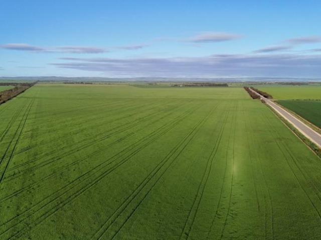 Land for sale in Condowie, South Australia