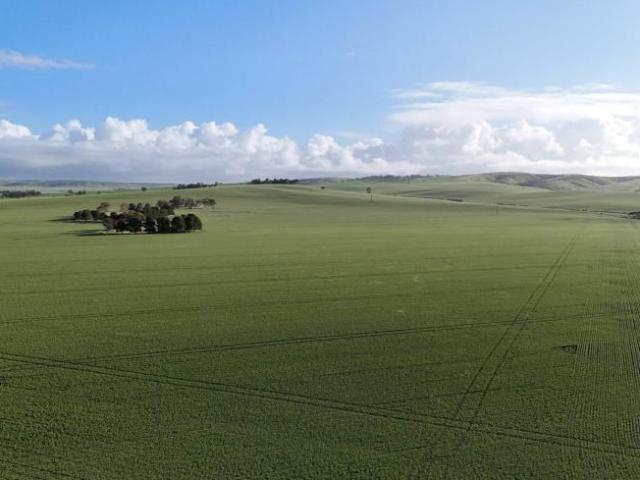 Land for sale in Crystal Brook, South Australia