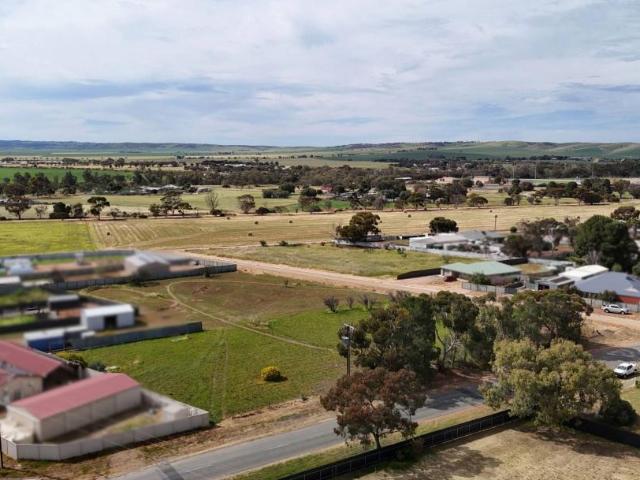 Land for sale in Crystal Brook, Port Pirie Regional Council