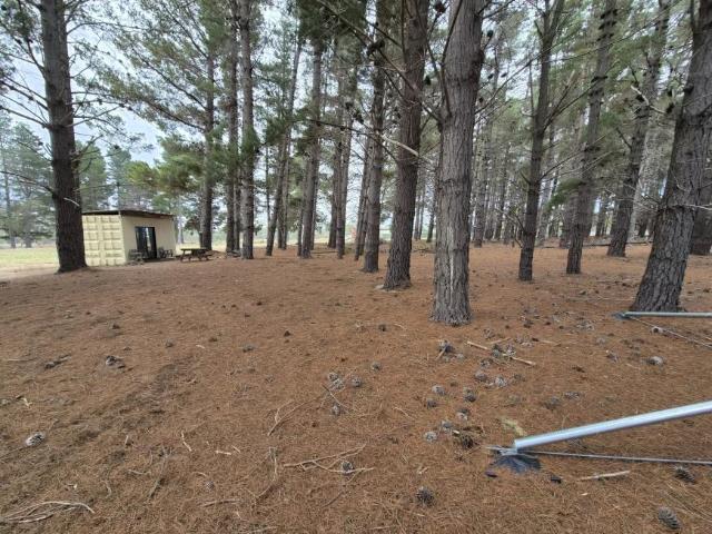 Land for sale in Dolphin Sands, Tasmania
