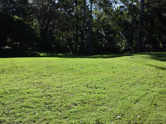 Land for sale in Kings Creek, Queensland