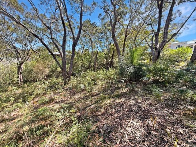 Land for sale in Timbarra Estate, Dunbogan