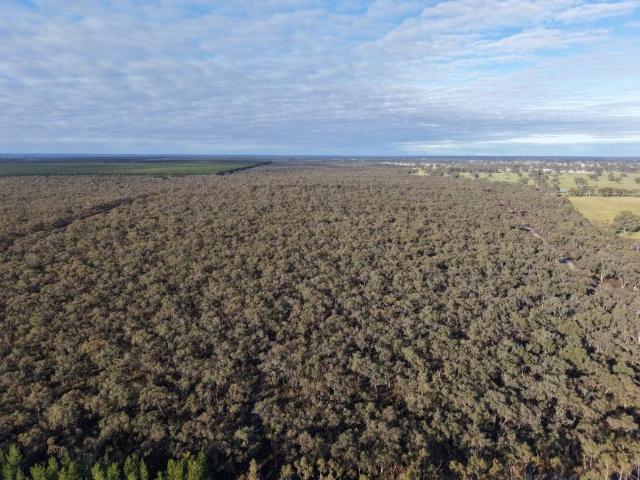 Land for rent in Edenhope, Victoria