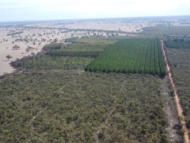 Land for rent in Edenhope, Victoria