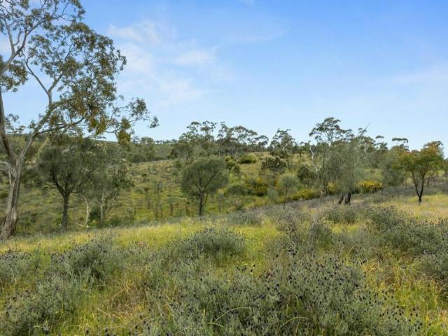 Land for sale in Emu Flat, Clare and Gilbert Valleys Council