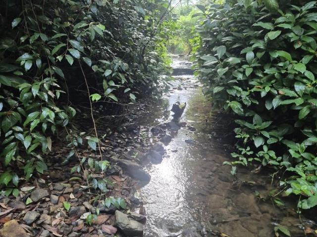 Land for sale in Eungella, Queensland