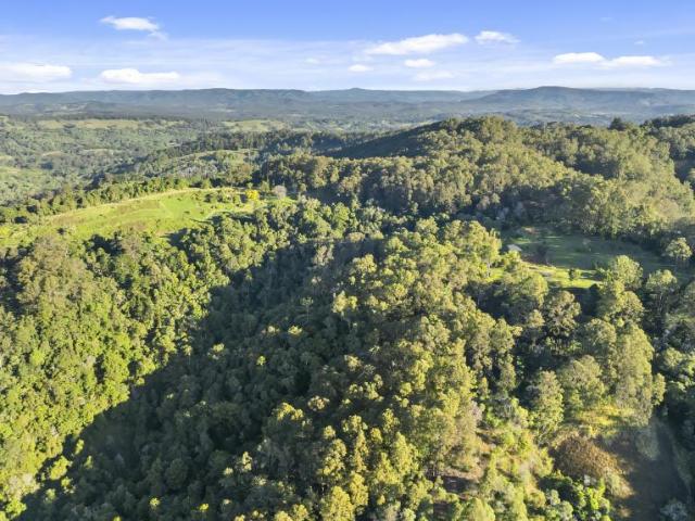 Land for sale in Federal, Queensland