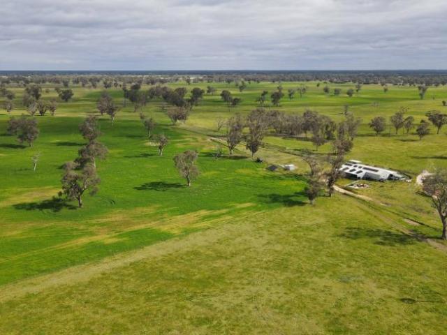 Land for rent in Frances, Naracoorte Lucindale Council