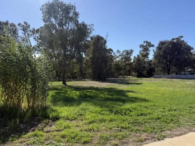 Land for sale in Ganmain, New South Wales