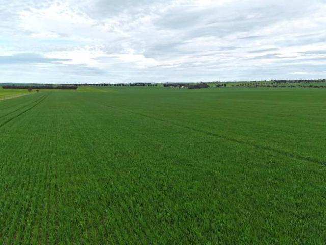 Land for sale in Gladstone, South Australia