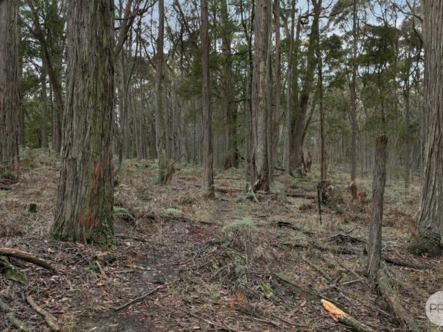 Land for sale in Bolwarrah, Gordon