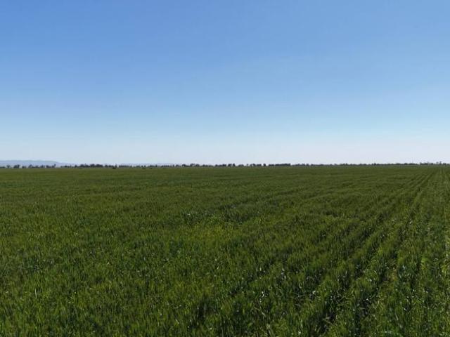 Land for sale in Hammond, The District Council of Mount Remarkable