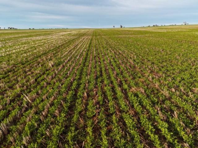 Land for sale in Huddleston, Northern Areas Council