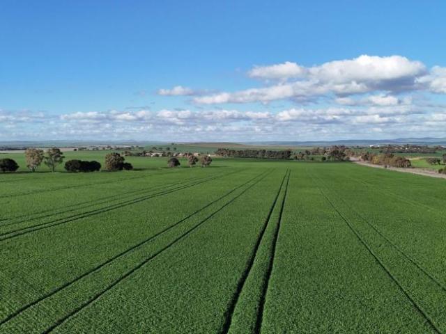 Land for sale in Huddleston, Northern Areas Council