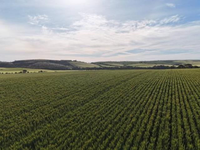 Land for sale in Huddleston, Northern Areas Council