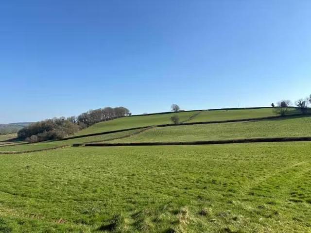 House for rent in Thelbridge, Newton St Cyres