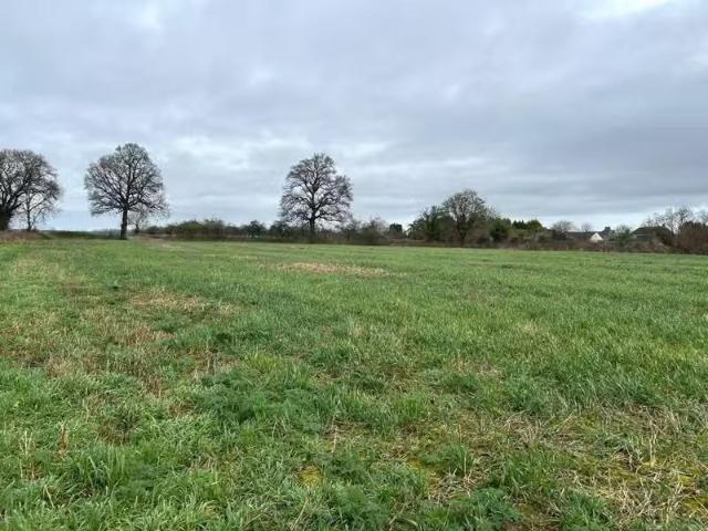 House for rent in Marston Magna, Somerset