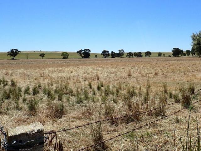 Land for sale in Jamestown, South Australia