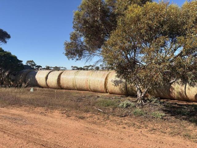 Land for sale in Kadina, Copper Coast Council