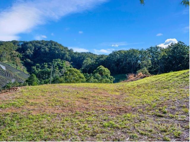 Land for sale in Korora, New South Wales