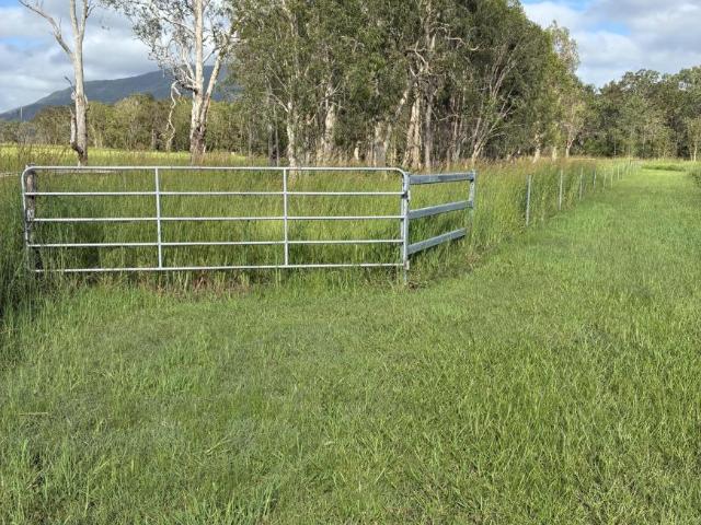 Land for sale in Koumala, Queensland