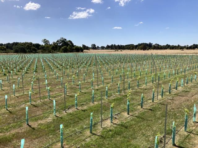 Land for sale in Kyneton, Shire of Macedon Ranges