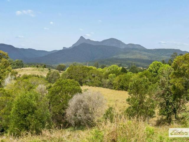 Land for sale in Limpinwood, Tyalgum