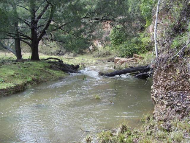 Land for sale in Lower Creek, New South Wales