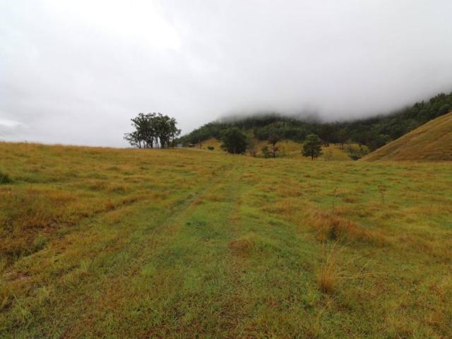 Land for sale in Lower Creek, New South Wales