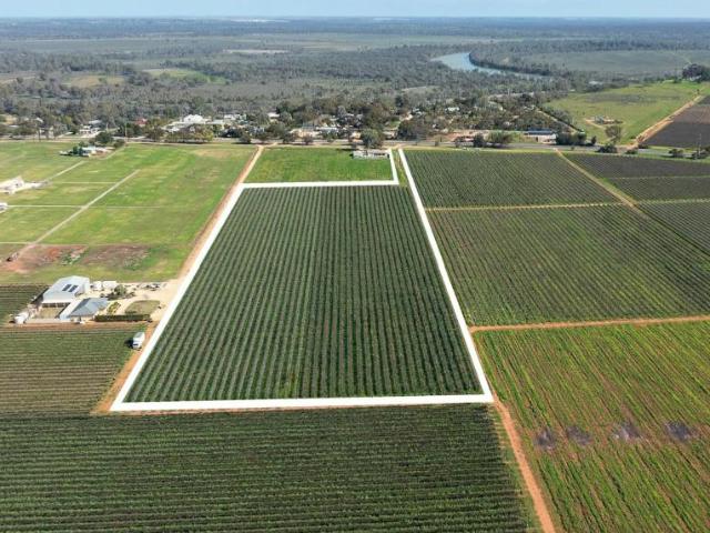 Land for sale in Loxton, The District Council of Loxton Waikerie