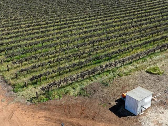 Land for sale in Loxton, The District Council of Loxton Waikerie