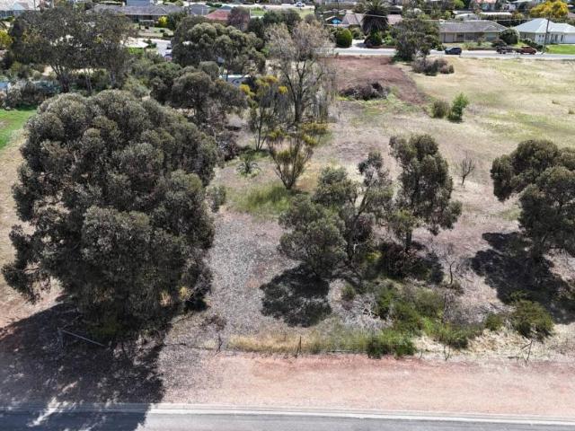 Land for sale in Maitland, South Australia