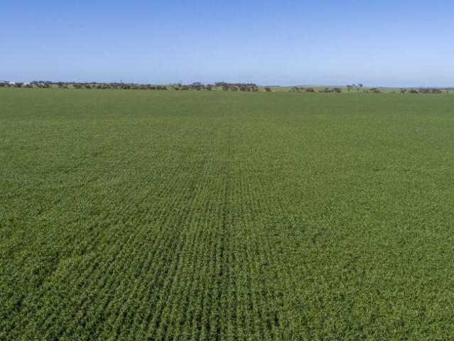 Land for sale in Maitland, Yorke Peninsula Council