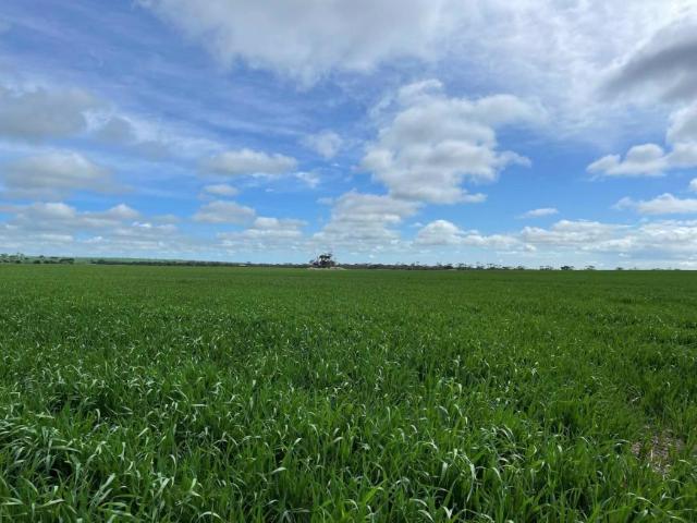 Land for sale in Paskeville, South Australia